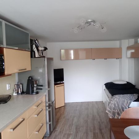 Apartman Marie Polepy エクステリア 写真