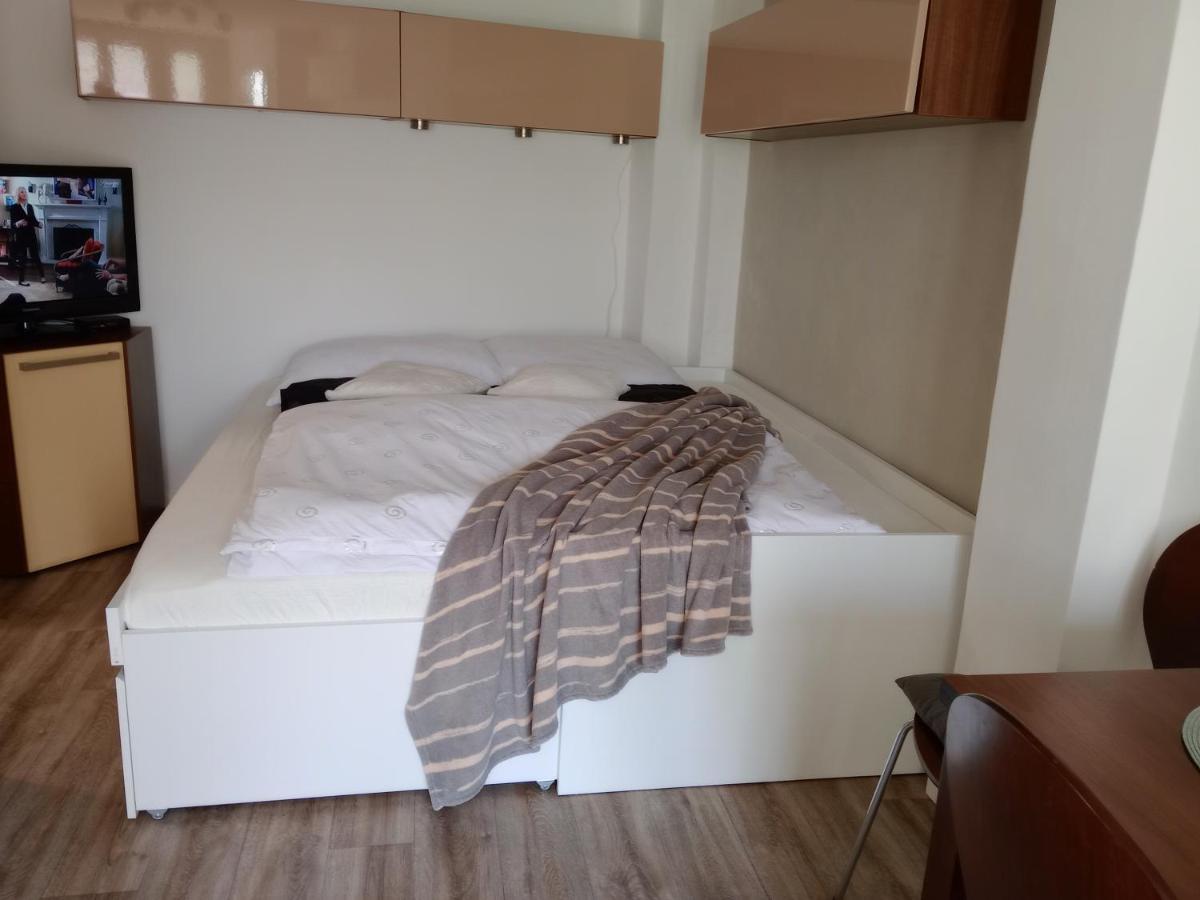 Apartman Marie Polepy エクステリア 写真