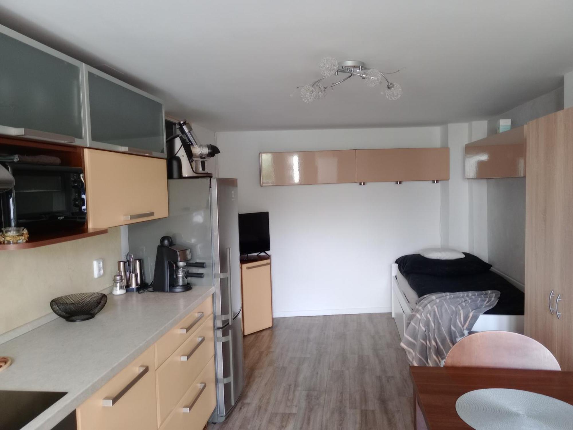 Apartman Marie Polepy エクステリア 写真
